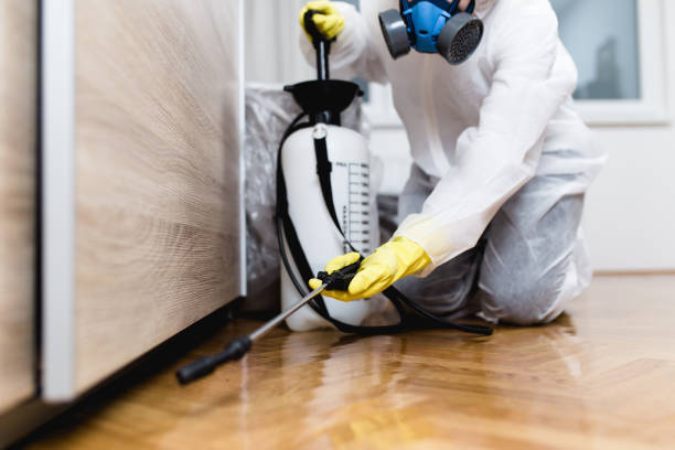 Best Affordable Pest Control Services  in Westphalia, MD
