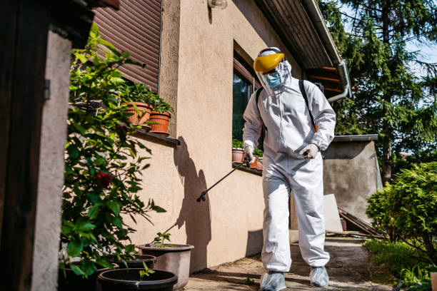 Best Bed Bug Extermination  in Westphalia, MD