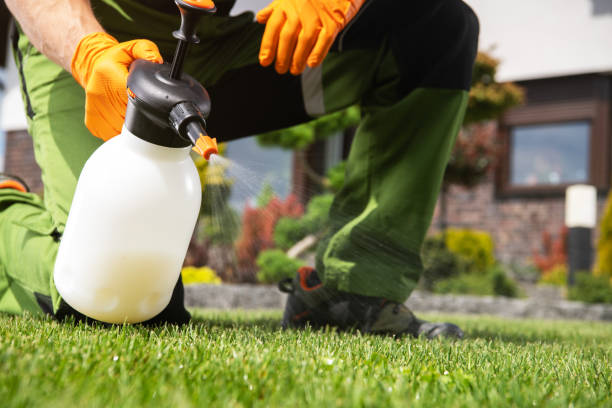 Best Insect Control  in Westphalia, MD