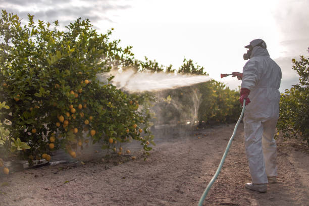 Best Pest Inspection Near Me  in Westphalia, MD