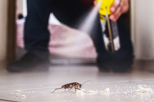 Trusted Westphalia, MD Pest Control Experts